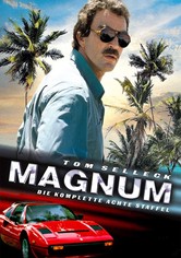 Magnum - Staffel 8