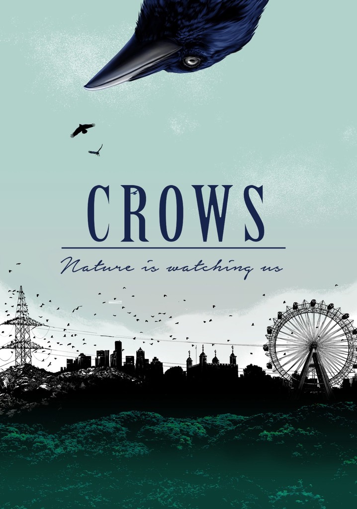 Crows - Nature Is Watching Us