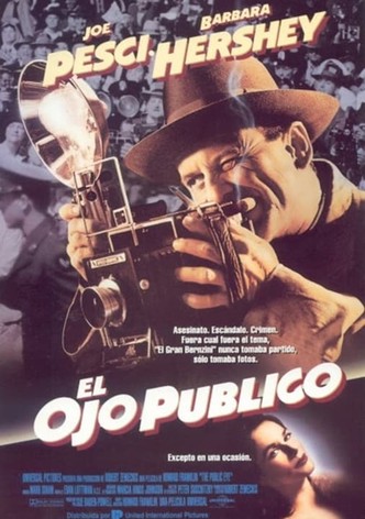 El ojo público