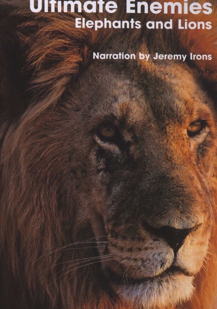 Ultimate Enemies: Elephants and Lions