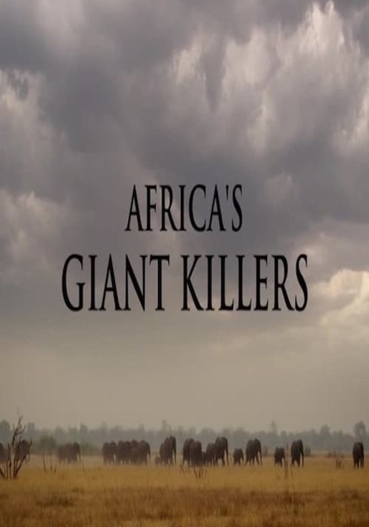 Africa's Giant Killers