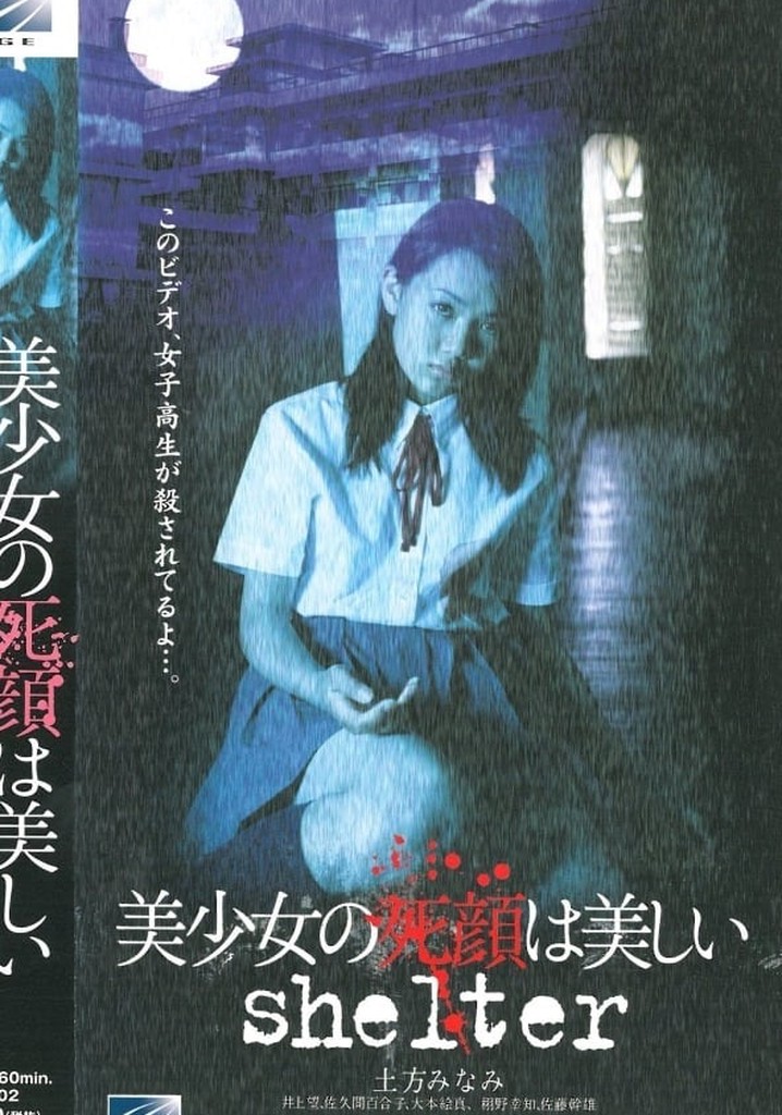 The Beautiful Dead Face of a Pretty Girl: shelter