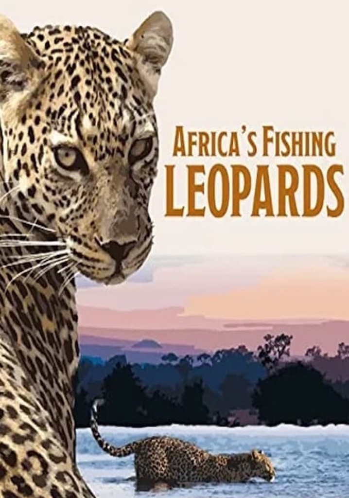 Africa's Fishing Leopards