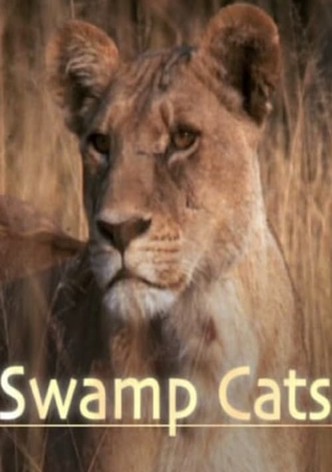 Swamp Cats