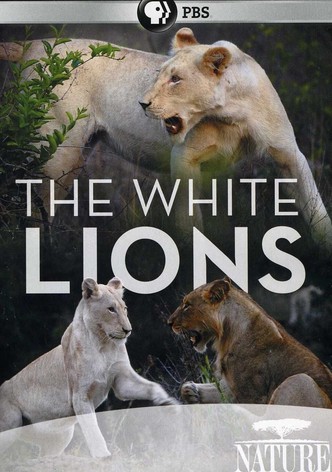 The White Lions