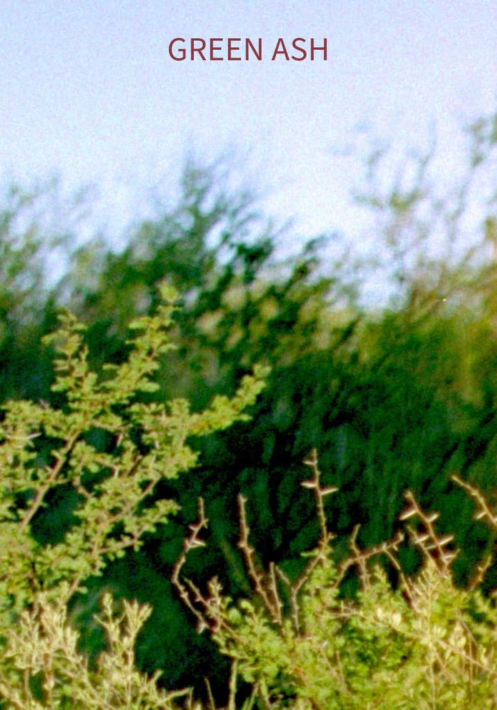 Green Ash