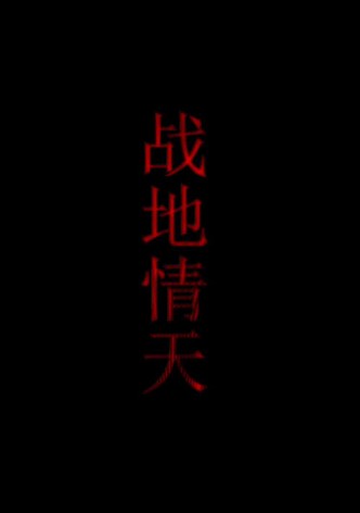战地情天