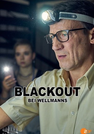 Blackout bei Wellmanns