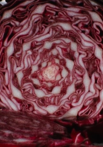 Cabbage