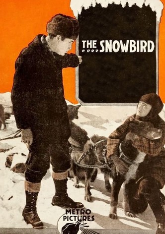 The Snowbird