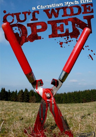Cut Wide Open