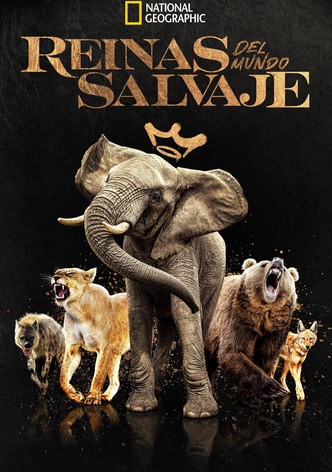 Reinas del mundo salvaje