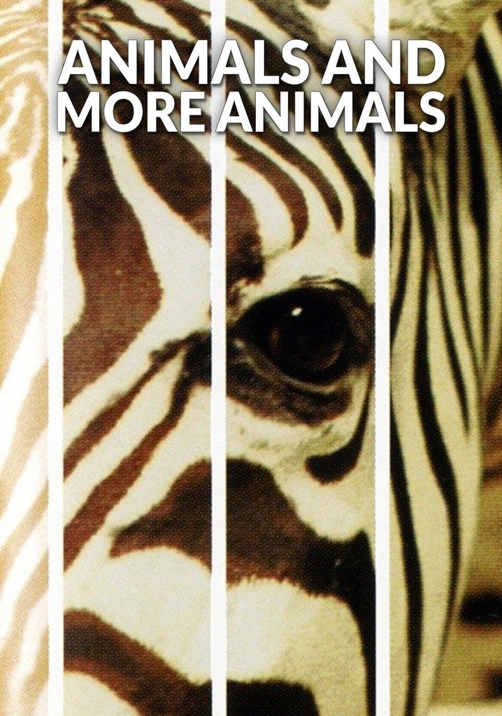 Animals and More Animals