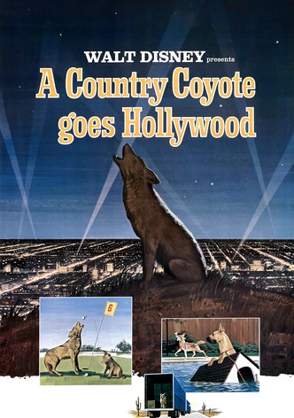 A Country Coyote Goes Hollywood