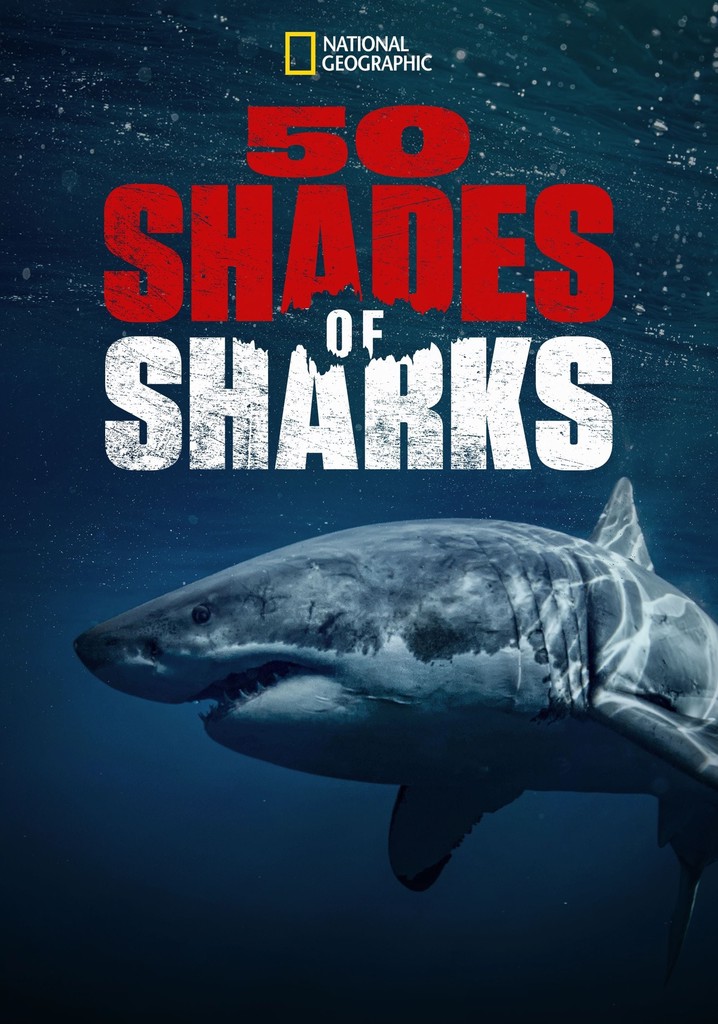 Fifty Shades of Sharks