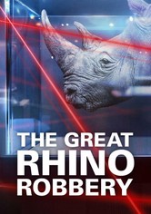 The Great Rhino Robbery