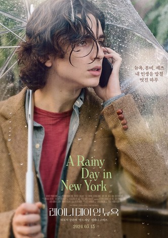 레이니 데이 인 뉴욕