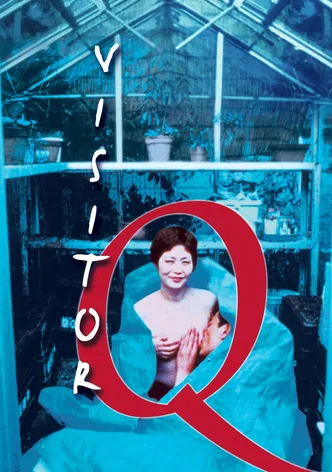 Visitor Q poster