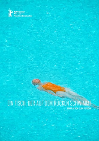 Ein Fisch, der auf dem Rücken schwimmt