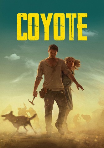 Coyote