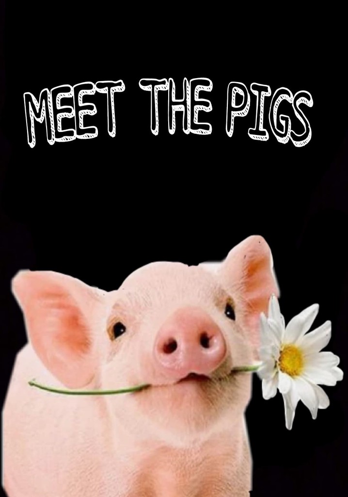 Meet the Pigs streaming where to watch online?