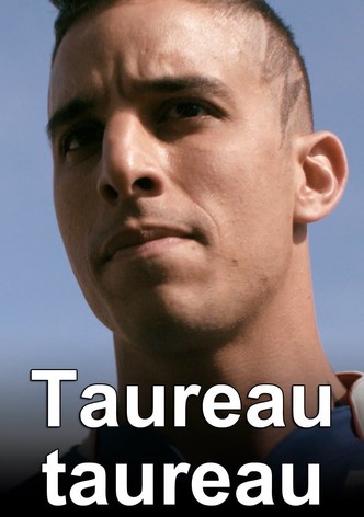 Taureau Taureau