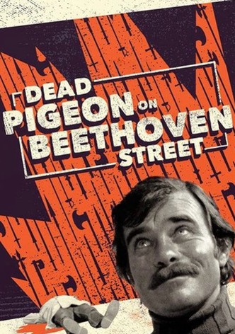 Dead Pigeon on Beethoven Street