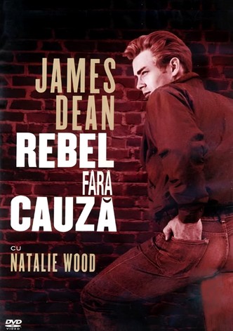 Rebel fără cauză