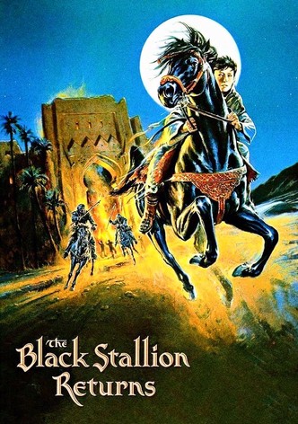 Der schwarze Hengst kehrt zurück