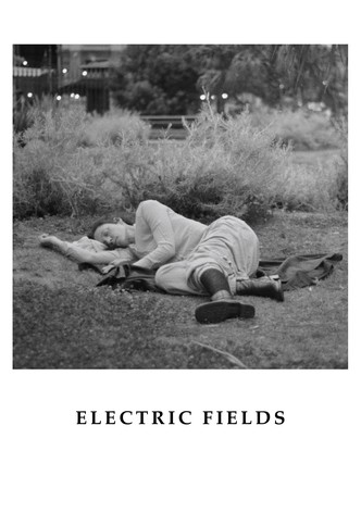 Electric Fields