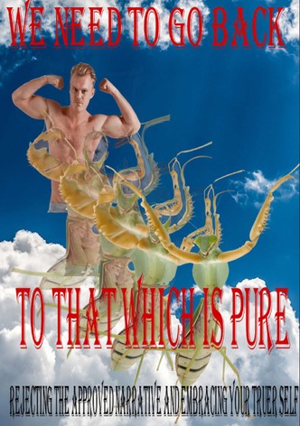 Insect Theory