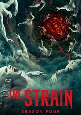 The Strain
