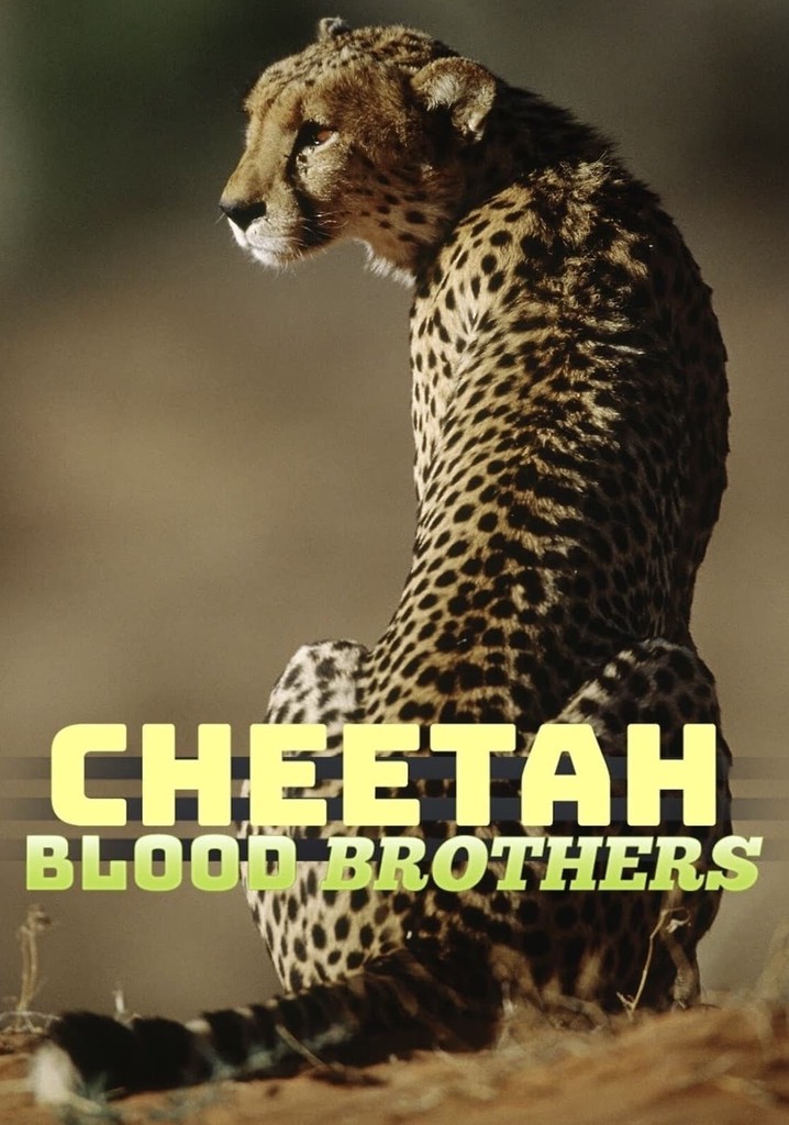 Cheetah Blood Brothers streaming where to watch online?
