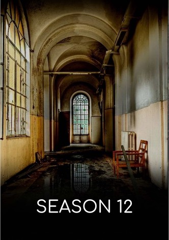 Saison 12