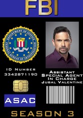 FBI: New York különleges ügynökei