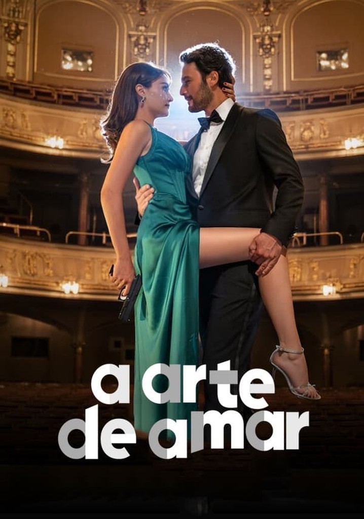 A Arte de Amar filme - Veja onde assistir