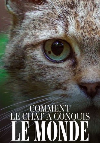 Comment le chat a conquis le monde