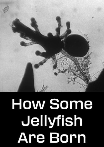 How Some Jellyfish Are Born