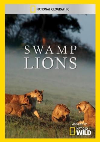 Swamp Lions
