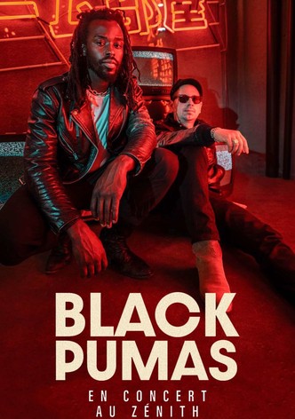 Black Pumas en concert au Zénith de Paris