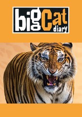 Big Cat Diary - Season 3