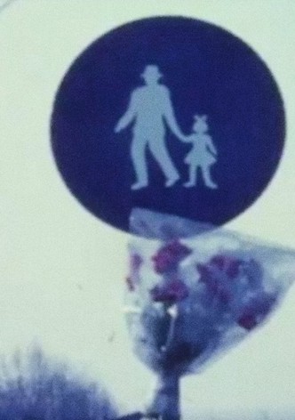 Il Sorriso Della Sfinge