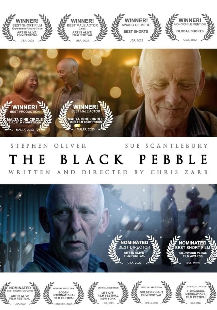 The Black Pebble
