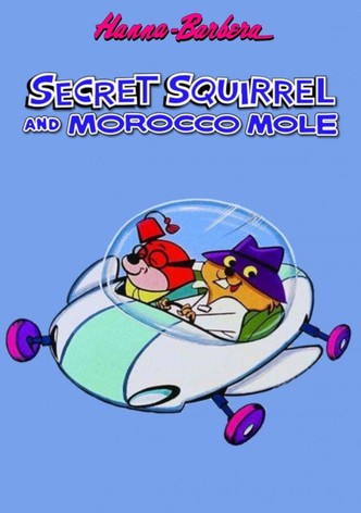 The Secret Squirrel Show