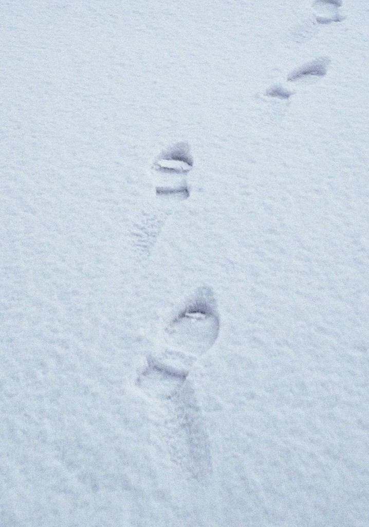 Terza passeggiata - Sulla neve