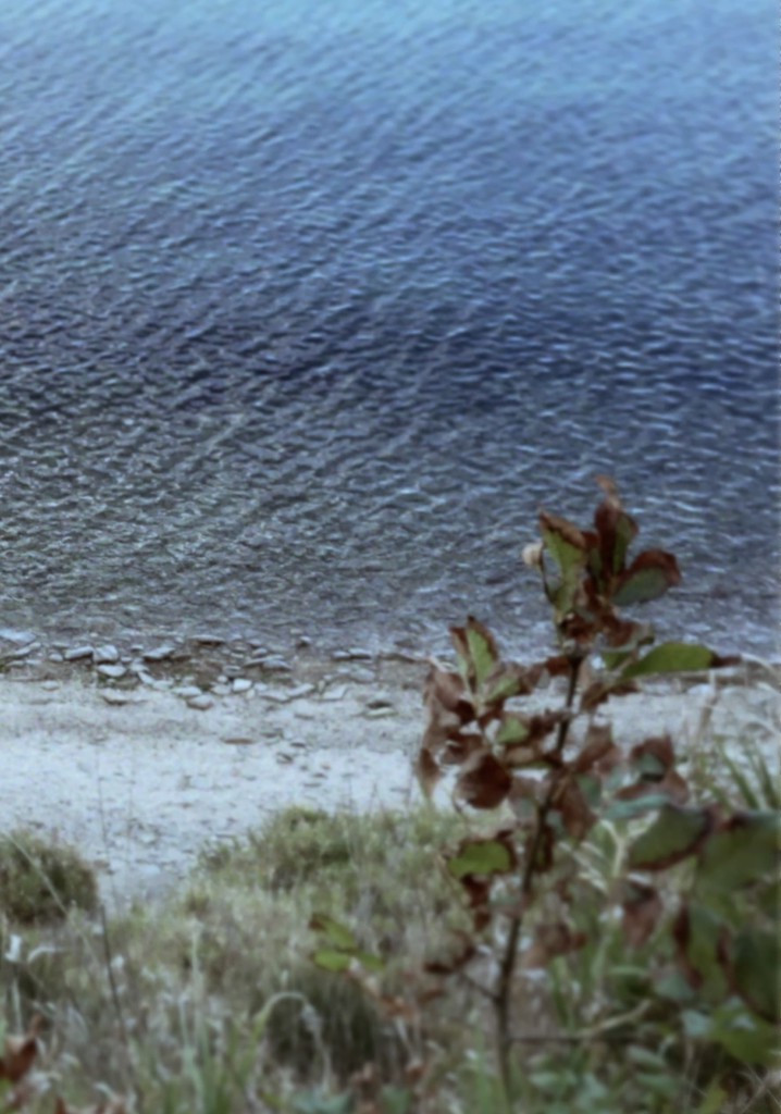 Seconda passeggiata - La casa in riva al mare