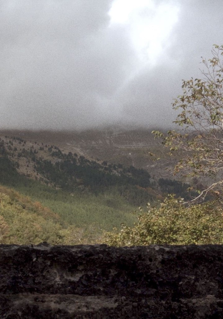 Quarta passeggiata - Un giro di giostra