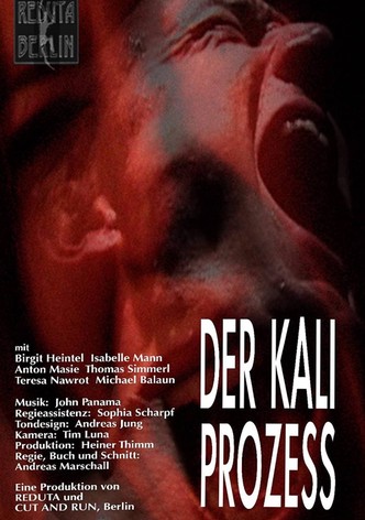 Der Kali Prozess