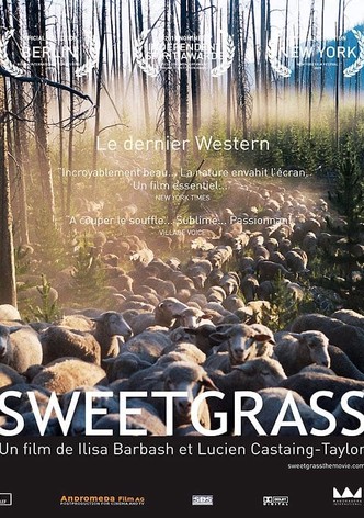 Sweetgrass