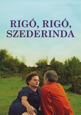 Rigó, rigó, szederinda